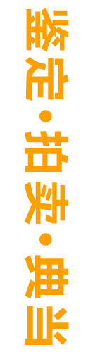 描述